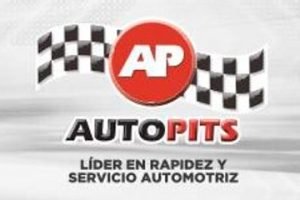 AP SERVICIO AUTOMOTRIZ