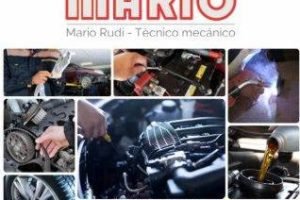 Mario Mecanico Taller Automotriz