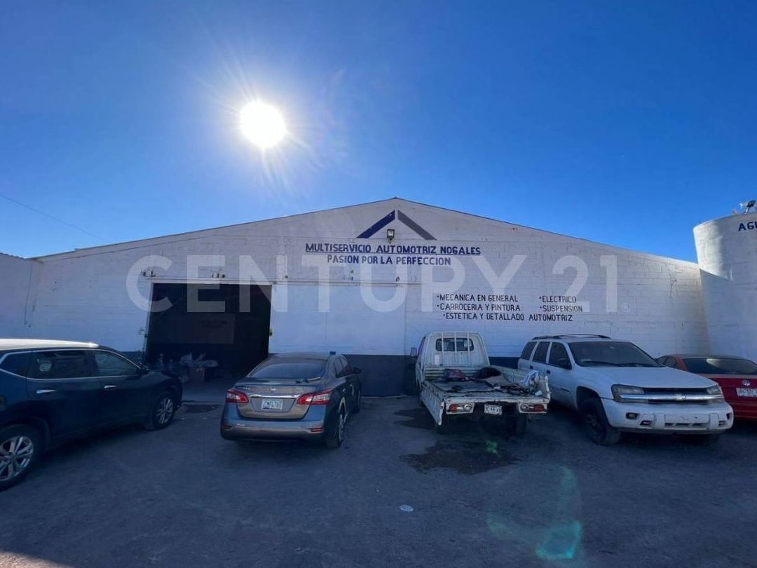 multiservicios de nogales
