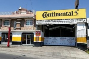 Servicio de alineación el capire