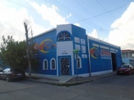 servicio mecanico automotriz martinez