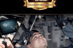 SERVICIO MECANICO Saldivar