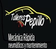 Taller Mecánico Pepillos