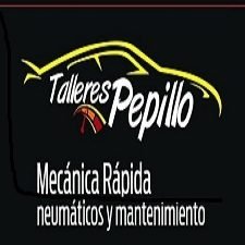 taller mecanico pepillos