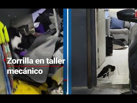 taller mecanico zorrilla