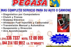 Taller pegasa